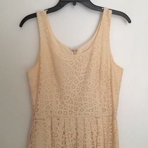 jcrew blush bridesmaid dress with lace overlay